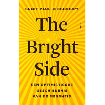 The Bright Side - Sumit Paul-Choudhury
