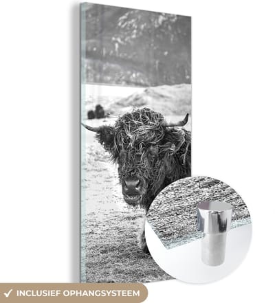 MuchoWow® Glasschilderij 20x40 cm - Schilderij acrylglas - Schotse Hooglander - Berg - Dieren - Foto op glas - Schilderijen