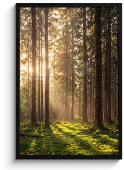 Poster in lijst - Fotolijst 60x90 cm - Posters - Bos - Gras - Zonlicht - Posterlijst zwart - Decoratie - Wanddecoratie woonkamer - Muurdecoratie slaapkamer