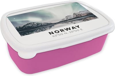 Broodtrommel Roze - Lunchbox - Brooddoos - Noorwegen - Noorderlicht - Water - 18x12x6 cm - Kinderen - Meisje