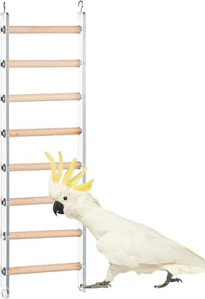 Vogelklimspeelgoed - Kooi klimtouw - Vogelbeweging stimuleren - 360 graden draaibare haak - Tot 49 cm - Multicolor