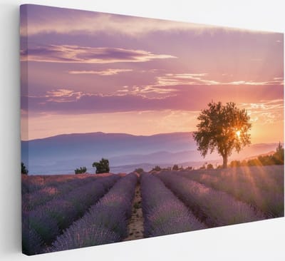 Saammp Canvas Schilderij - Lavendelveld met de zon tussen de boom - Natuur - Landschap - 30x20 - Foto op canvas - Wanddecoratie - Muurdecoratie Woonkamer - Slaapkamer decoratie - Canvas Print