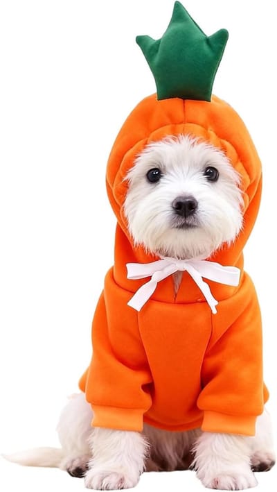 Schattig kersttrui voor honden - leuke fruitoutfit voor foto's en kleine tot middelgrote honden (XL)