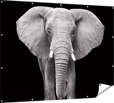 Gards Tuinposter Olifant - Zwart Wit - 160x120 cm - Tuindoek - Tuindecoratie - Wanddecoratie buiten - Tuinschilderij