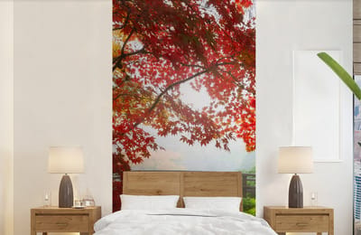 Behang - Fotobehang Japanse esdoorn - Bomen - Brug - Natuur - Japans - Breedte 120 cm x hoogte 240 cm