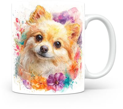 Beker Dwergspitz (Pomeranian)