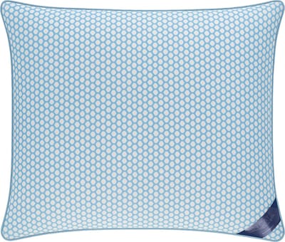 Ten Cate Hoofdkussen - Kussens - Hoofdkussen Nekklachten - Geschikt voor rug-, zij- en buikslapers- Airpillow - Memory Foam - Traagschuim - 60x70 cm