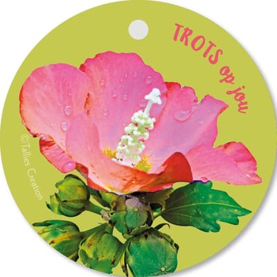 Tallies Cards - kadokaartjes  - bloemenkaartjes - Trots op jou - Flowerpower - set van 5 kaarten - geslaagd - diploma - zwemdiploma - rijbewijs - 100% Duurzaam