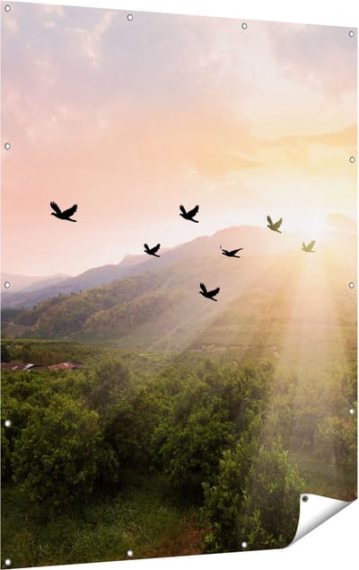 Gards Tuinposter Silhouet Zwerm Vogels bij Zonsondergang - 120x160 cm - Tuindoek - Tuindecoratie - Wanddecoratie buiten - Tuinschilderij