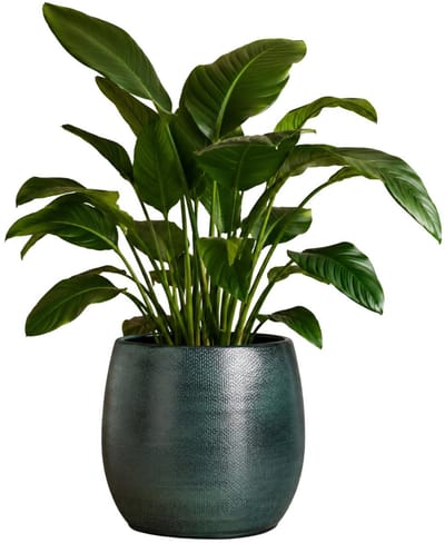 Mica Decorations Plantenpot - keramiek - donkerblauw glans / ribbels - D21 x H22 cm - bloempot Porto