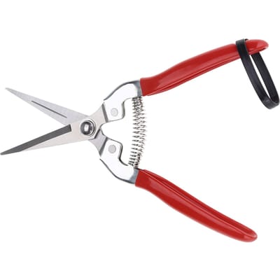 1 pièce Cisailles de Taille Robustes pour Arbres Fruitiers Bonsaïs Outil de Jardinage Ciseaux de Jardin Taille-haie Lame Droite
