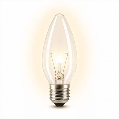 1x Kaarslamp Gloeilamp E27 - 25W - Warm Wit Licht (2700K) - 180 lm - 1 jaar - Dimbaar