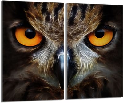 TMK ArtDeko - Snijplank - Beschermplaat - 2x30x52cm - Sowa