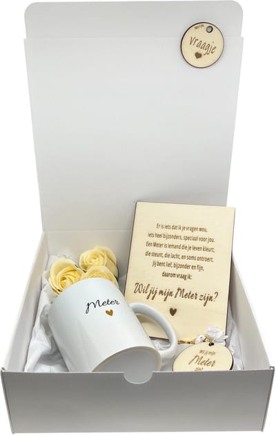 Geschenkbox Wil jij mijn METER zijn? | beige | MOK | sleutelhanger | zeeproosjes | meter vragen | meter worden | peettante vragen | peettante worden | cadeau | doosje met een vraag