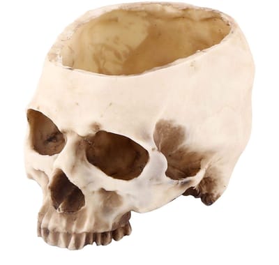 Dailygoods- Plantenpot Skull - Hoofd Design - Decoratie - Bloempot - Hereniging - 16,5 x 11,5 x 11 cm - Hoogwaardige Hars