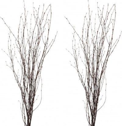 Kunsttakken - 30 berkentakken - 75 cm - bruin - paastakken - paasdecoratie/versiering