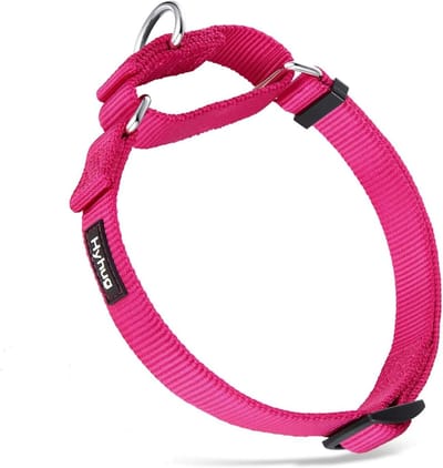 Robuuste nylon Martingale-halsband voor kleine honden - Veilig, comfortabel en ontsnappingsbestendig