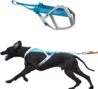 Honden Harnas - Honden Tuigje - Outdoor Activiteiten - Verstelbaar Ontwerp - Maat 9 - Blauw Grijs