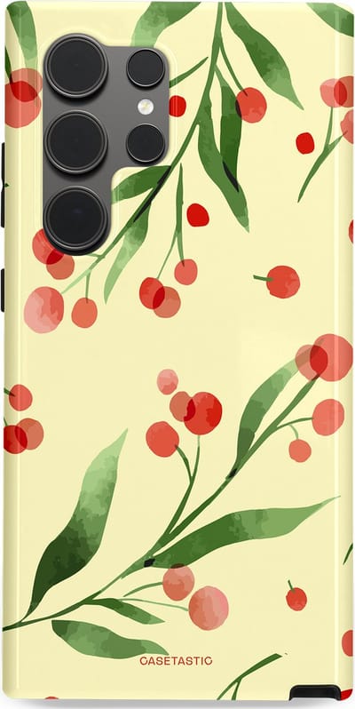 Casetastic Hoesje Geschikt voor Samsung S24 Ultra - Stijlvolle Beschermende Duo-layer Case - Watermeloen
