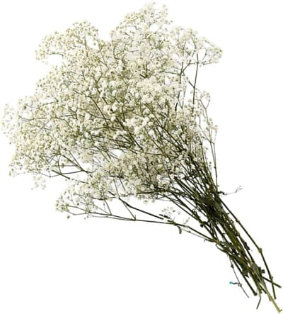 Eeuwig Verse Gipsophila Boeket - Gedroogde Bloemen Decoratie voor Kado