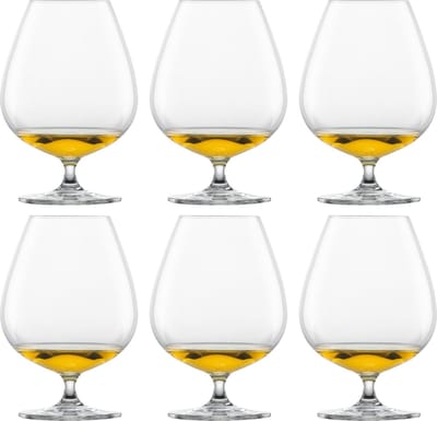 Schott Zwiesel Bar Special Cognacglas XXL 45 - 0.88 Ltr - set van 6