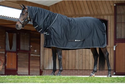 Outdoor paardendeken met halsbedekking Bucas Shamrock Power