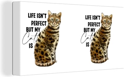 Canvas schilderij 160x80 cm - Wanddecoratie Katten - Life isn't perfect but my cat is - Spreuken - Quotes - Muurdecoratie woonkamer - Slaapkamer decoratie - Kamer accessoires - Schilderijen
