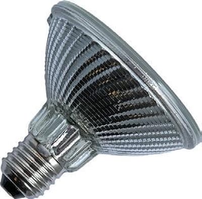 Schiefer E27 PAR30 Halogeen Spot | 75W 2750K 220V/240V 10° | Ø96mm Dimbaar