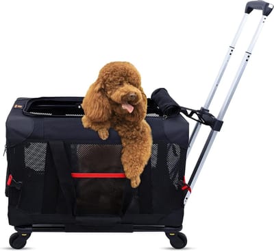 Transportbox hond met wielen voor kleine honden tot 10 kg - Reismand grote kat met wielen - Katten transportbox open top op wielen - Zwart - Hondenbuggy