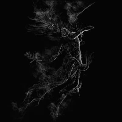 Jarboe - Illusory (CD)