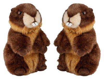 Ravensden Pluche familie bever knuffels - 2x - bruin - 18 cm - Bevers knaagdieren knuffels