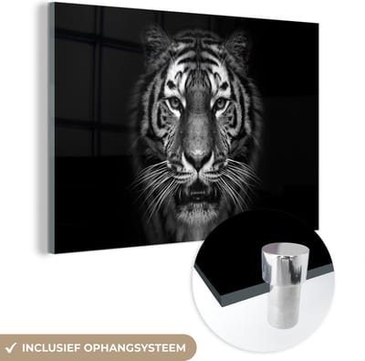 Glasschilderij - Foto op glas - Acrylglas - Dieren - Tijger - Natuur - Zwart - Wit - 150x100 cm - Schilderij glas - Glasschilderij tijger - Glasschilderij zwart wit - Muurdecoratie dieren