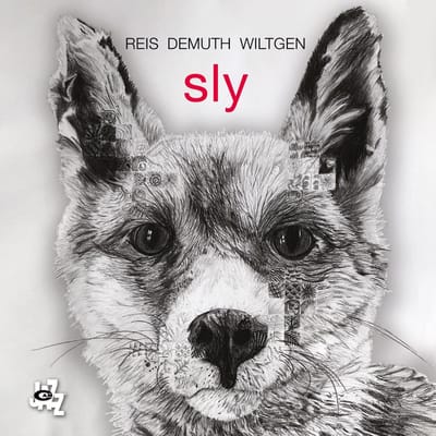 Michel Reis, Marc Demuth, Paul Wiltgen - Sly (CD)