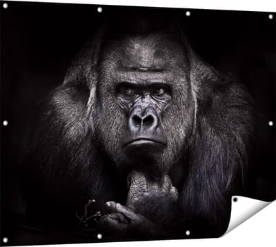 Gards Tuinposter Gorilla - Zwart Wit - 120x90 cm - Tuindoek - Tuindecoratie - Wanddecoratie buiten - Tuinschilderij