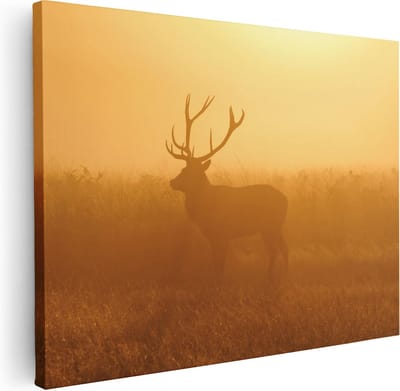 Artaza Canvas Schilderij Hertenkop Met Gewei - 40x30 cm - Klein - Wanddecoratie Dieren - Muurdecoratie Mistige Zonsopgang - Kamer Accessoires