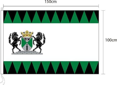 Vlag van Emmen 100 x 150cm