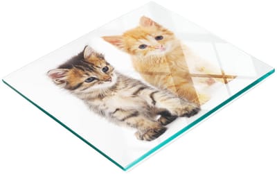 Decoratieve serveerplank van glas met kattenmotief, 60x52 cm