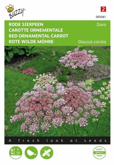 Rode sierpeen Dara - (Daucus carota)