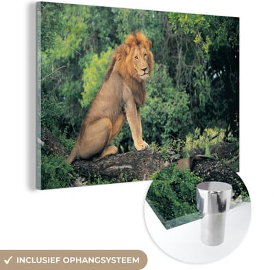 MuchoWow® Glasschilderij 120x80 cm - Schilderij acrylglas - Leeuw - Natuur - Gras - Foto op glas - Schilderijen