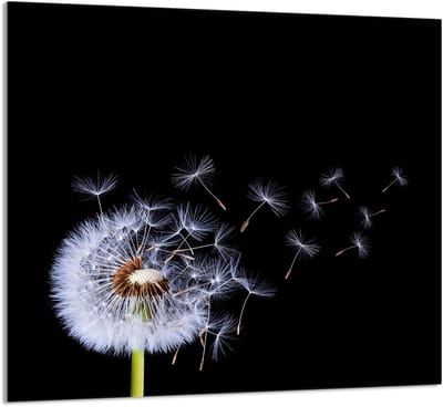 TMK ArtDeko 65x60 - Glazen Keukenpaneel - Bloemmotief - Hittebestendig - Veelzijdig