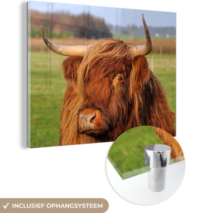 MuchoWow® Glasschilderij 160x120 cm - Schilderij acrylglas - Schotse Hooglander - Gras - Boom - Foto op glas - Schilderijen