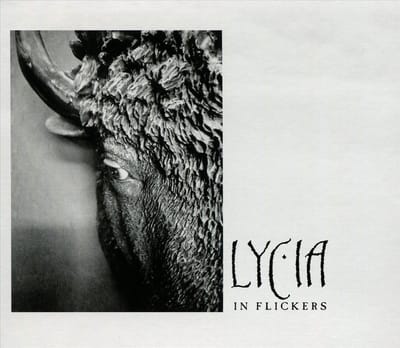 In Flickers - Lycia