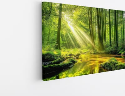 Saammp Canvas Schilderij - Moerras - Zon - Landschap - Natuur - 45x30 - Foto op canvas - Wanddecoratie - Muurdecoratie Woonkamer - Slaapkamer decoratie - Canvas Print