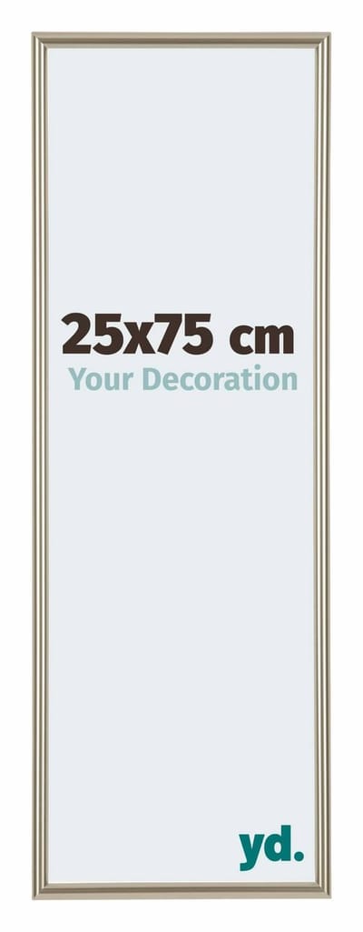 Your Decoration - Fotolijst 25x75 cm - Kunststof - Champagne - Annecy