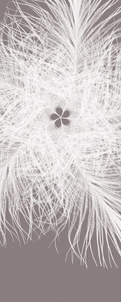 Fotobehang - Federkern 100x250cm - Papierbehang