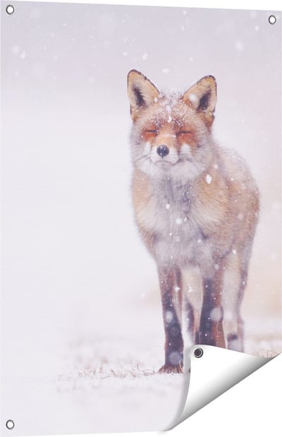 Gards Tuinposter Vos in de Sneeuw - 60x80 cm - Tuindoek - Tuindecoratie - Wanddecoratie buiten - Tuinschilderij