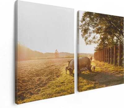 Artaza Canvas Schilderij Tweeluik Varken Familie - Varkens - 120x80 - Foto Op Canvas - Canvas Print