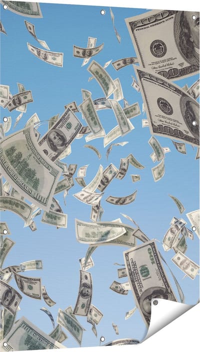 Gards Tuinposter Dollarbiljetten in de Lucht - Geld - 80x120 cm - Tuindoek - Tuindecoratie - Wanddecoratie buiten - Tuinschilderij