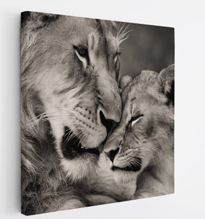 Saammp Canvas Schilderij - Leeuw met welp - Liefde - Landschap - Dieren - Natuur - 20x20 - Foto op canvas - Wanddecoratie - Muurdecoratie Woonkamer - Slaapkamer decoratie - Canvas Print