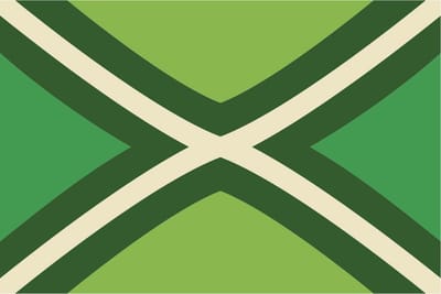 Bellatio design Vlag Achterhoek - 90 x 150 cm - Achterhoekse Vlag